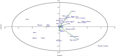 Study of genetic variability, heritability, and genetic advance for yield-related traits in tomato (Solanum lycopersicon MILL.)